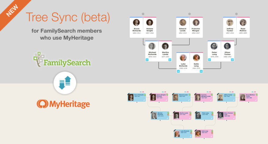 myheritage family tree download