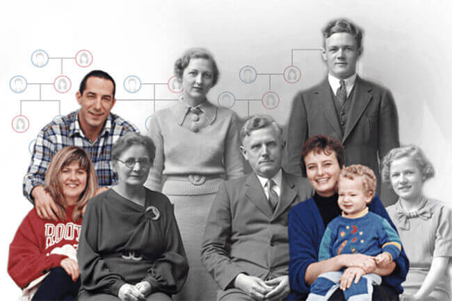 myheritage family tree download